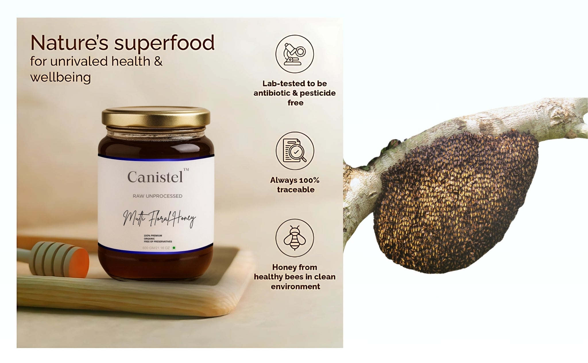 Image of Canistel Health Essentials Combo — A2 Ghee, Almond Oil, Coconut Oil & Raw Honey | Superfoods