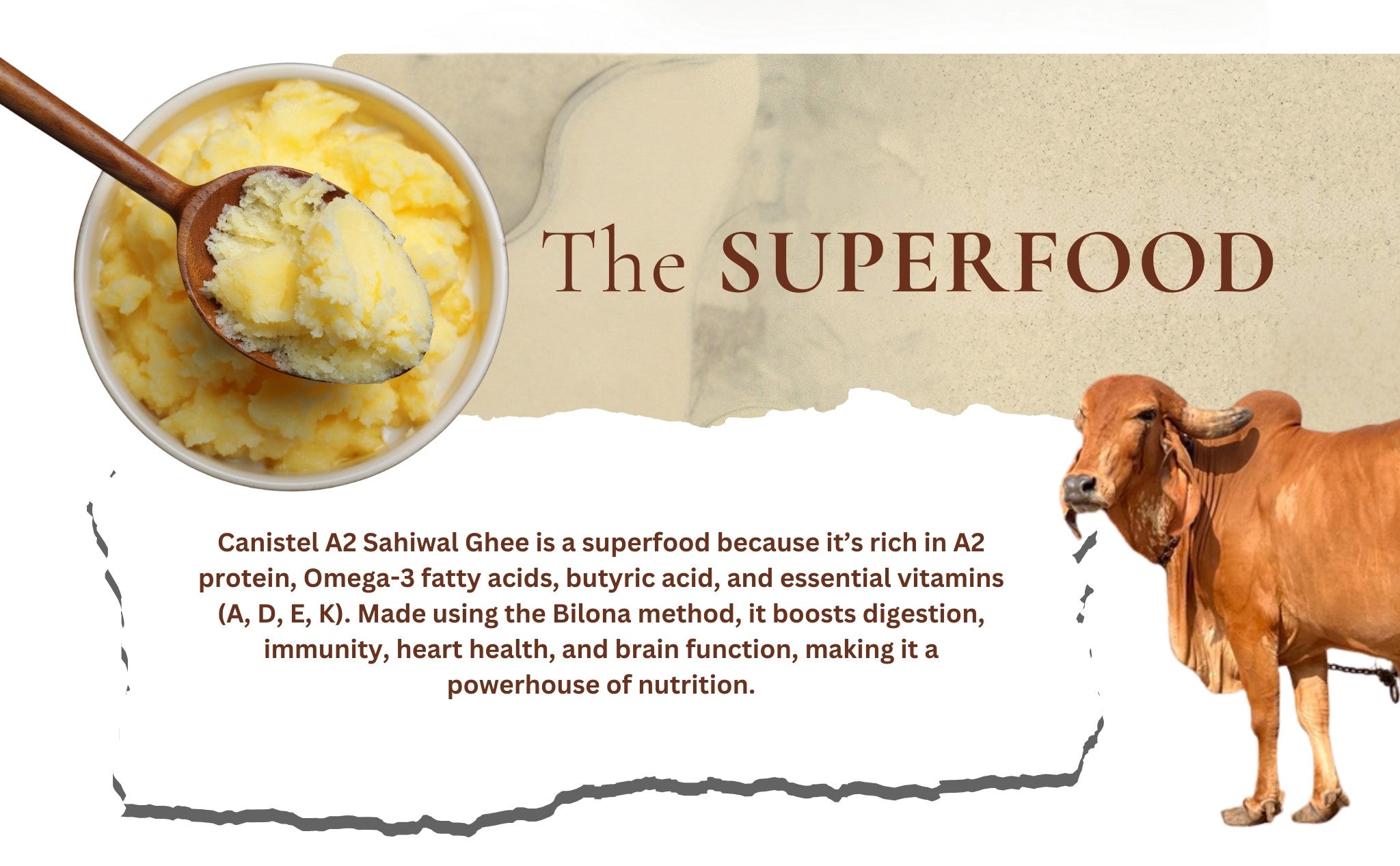 Image of A2 Desi Gir Cow & Sahiwal Cow Ghee Combo | Traditional Bilona Churned (Pack of 2)