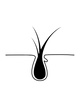 BP Icon