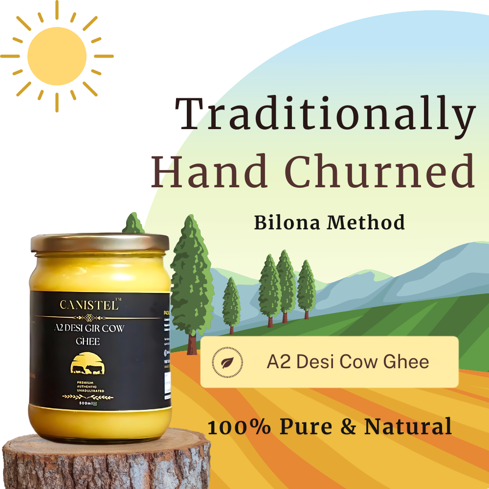 Canistel A2 Desi Gir Cow Ghee | Traditional Bilona Churned | 100% Natural - canistelindia