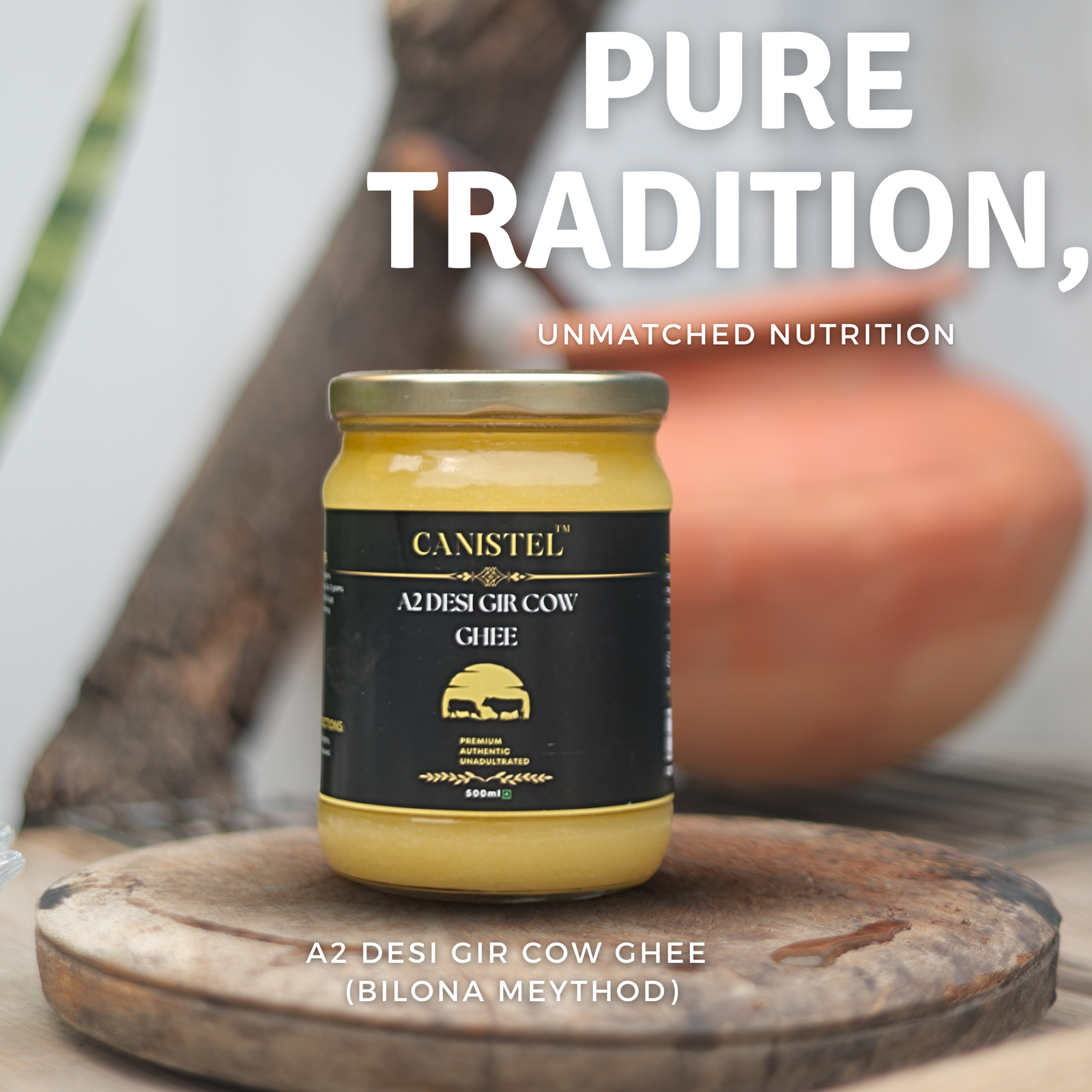Canistel A2 Desi Gir Cow Ghee | Traditional Bilona Churned | 100% Natural 250ml - canistelindia