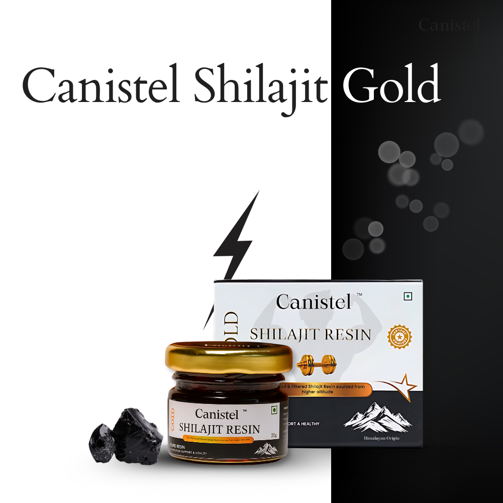 Image of Canistel Shilajit Gold Resin – Himalayan Purity | Ayurvedic Supplement | Sale