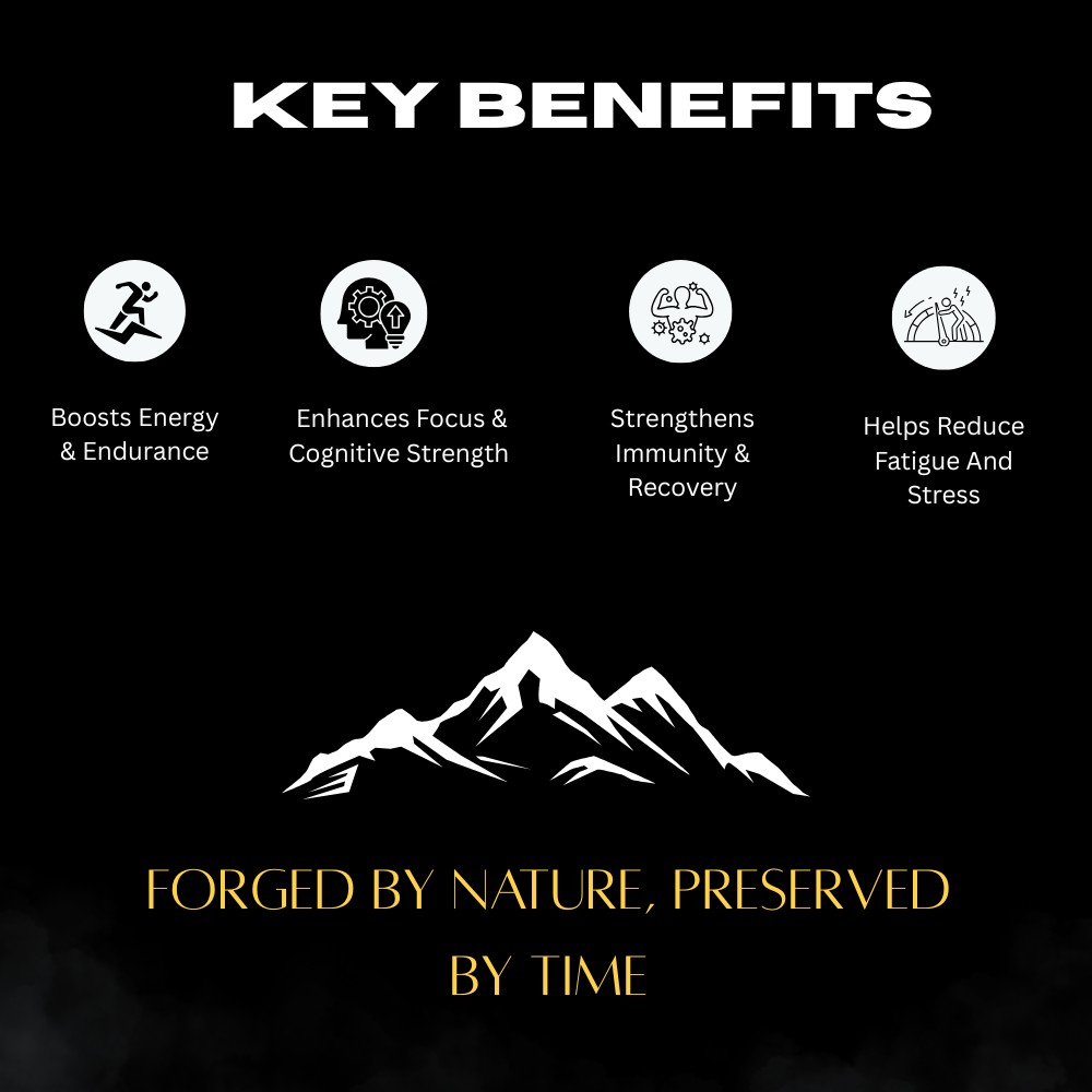 Canistel Shilajit Resin Gold – Himalayan Purity | 100% Natural Ayurvedic Supplement