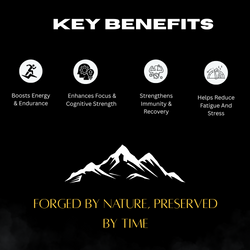 Image of Canistel Shilajit Resin Gold – Himalayan Purity | 100% Natural Ayurvedic Supplement