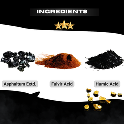 Image of Canistel Shilajit Resin Gold – Himalayan Purity | 100% Natural Ayurvedic Supplement
