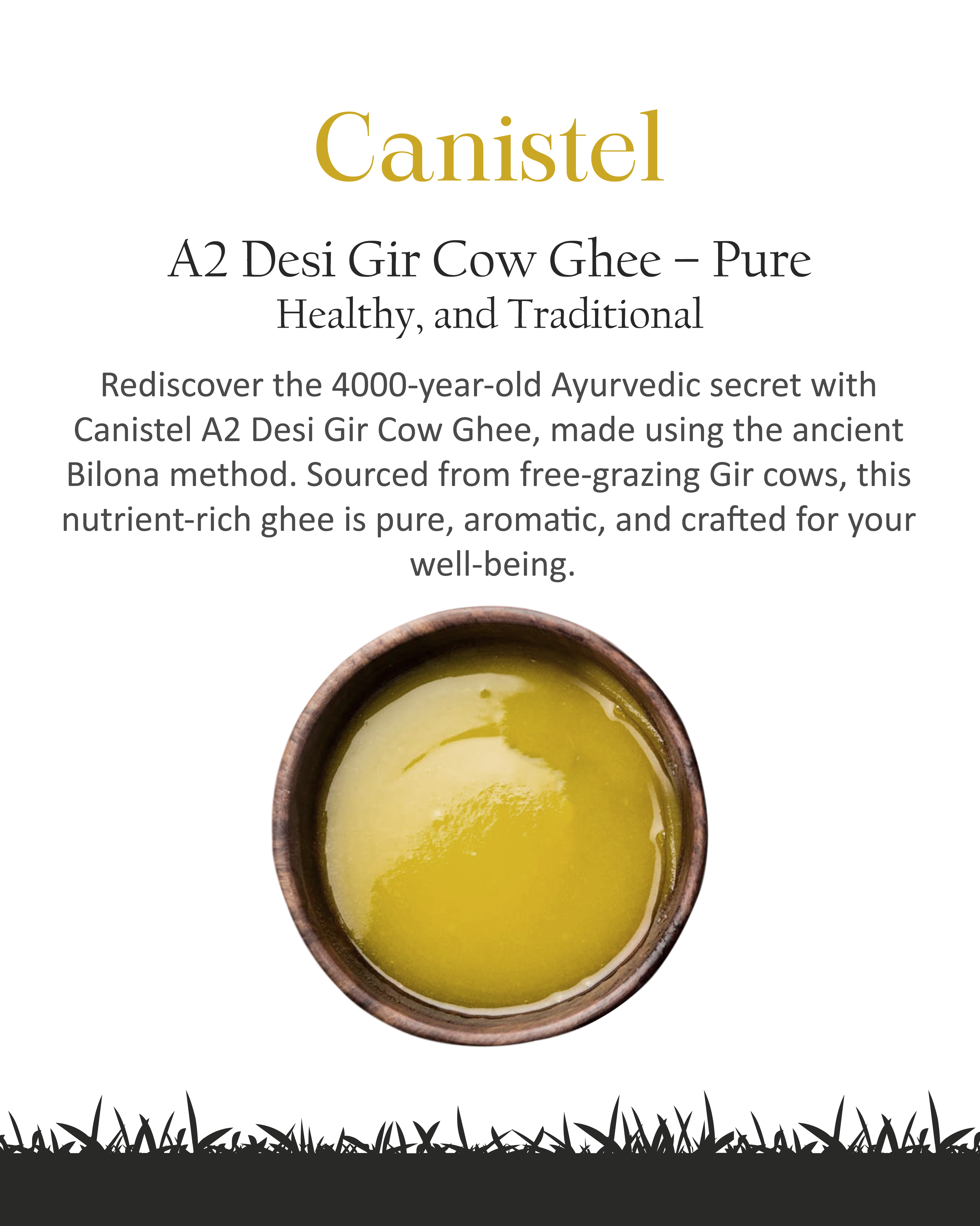 Image of Canistel A2 Desi Gir Cow Ghee | Traditional Bilona Churned | 100% Natural 250ml
