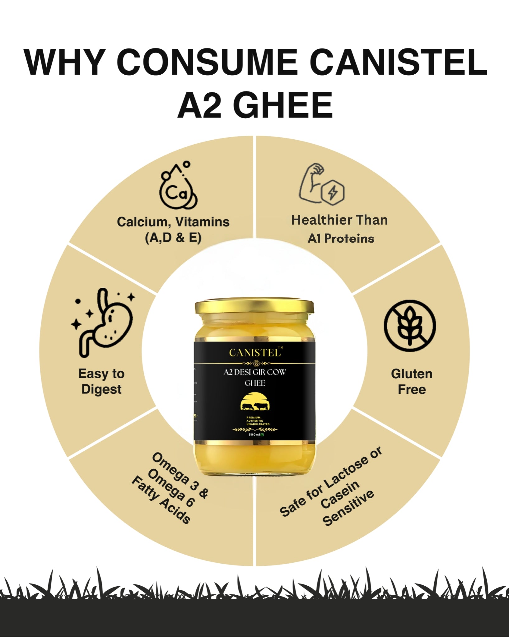 Image of A2 Desi Gir Cow & Sahiwal Cow Ghee Combo | Traditional Bilona Churned (Pack of 2)