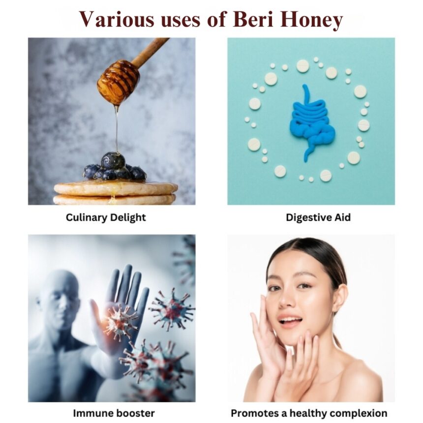 Image of Raw Unprocessed Beri Honey | 100% Pure & Natural - canistelindia