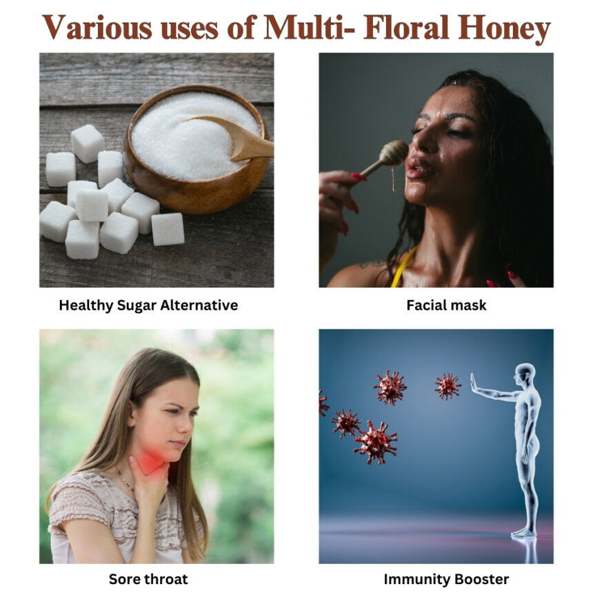 Raw Unprocessed Multi- Floral Honey | 100% Pure & Natural - canistelindia