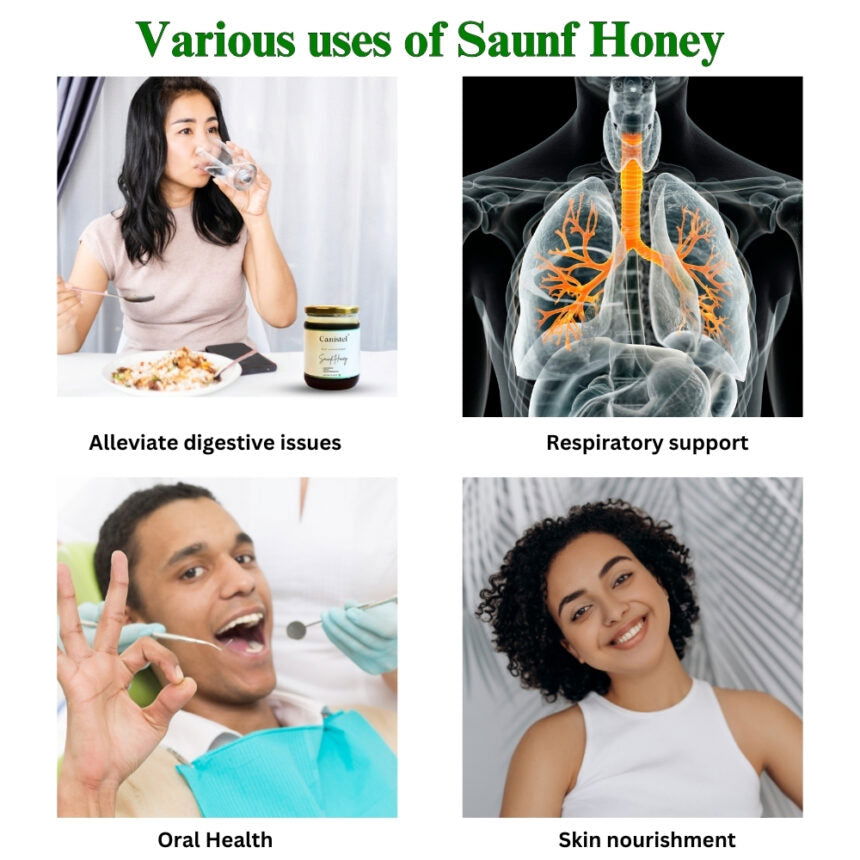 Raw Unprocessed Saunf Honey | 100% Pure & Natural - canistelindia