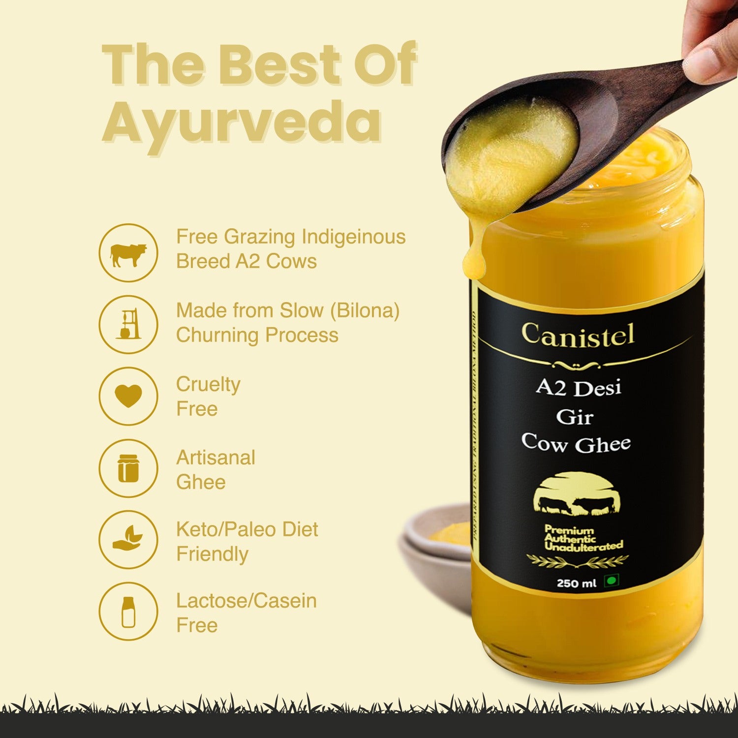 Image of Canistel A2 Desi Gir Cow Ghee | Traditional Bilona Churned | 100% Natural 250ml