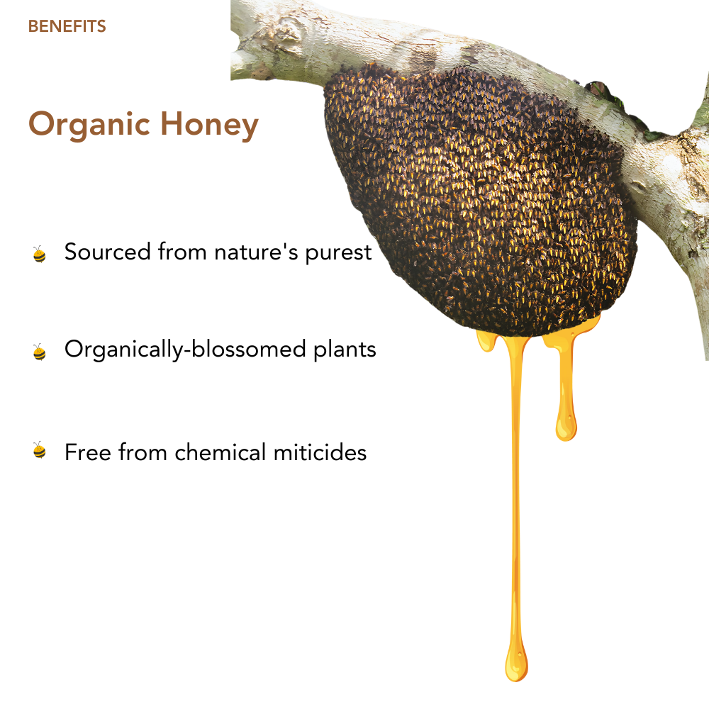 Image of Raw Unprocessed Beri Honey | 100% Pure & Natural