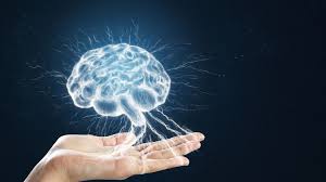 Boosts Brain Function 