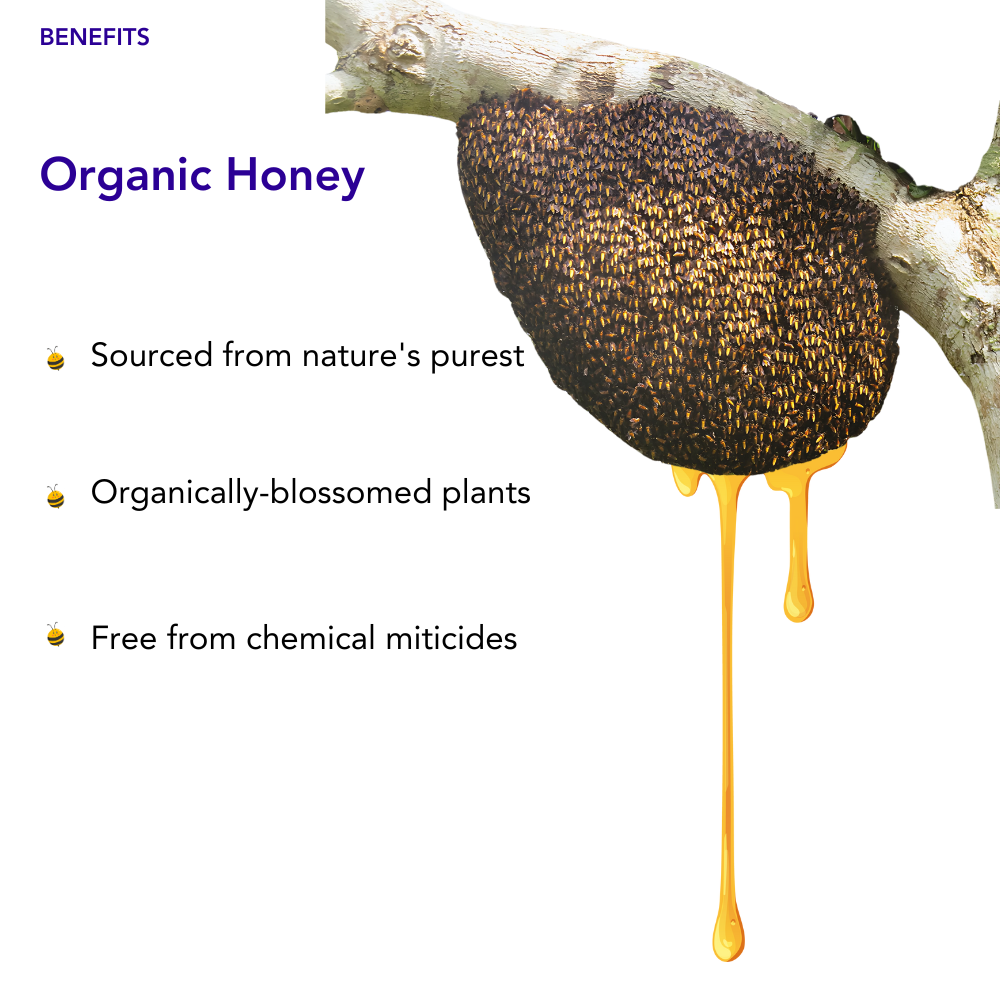 Image of Raw Unprocessed Multi- Floral Honey | 100% Pure & Natural | NMR Tested | 250 g